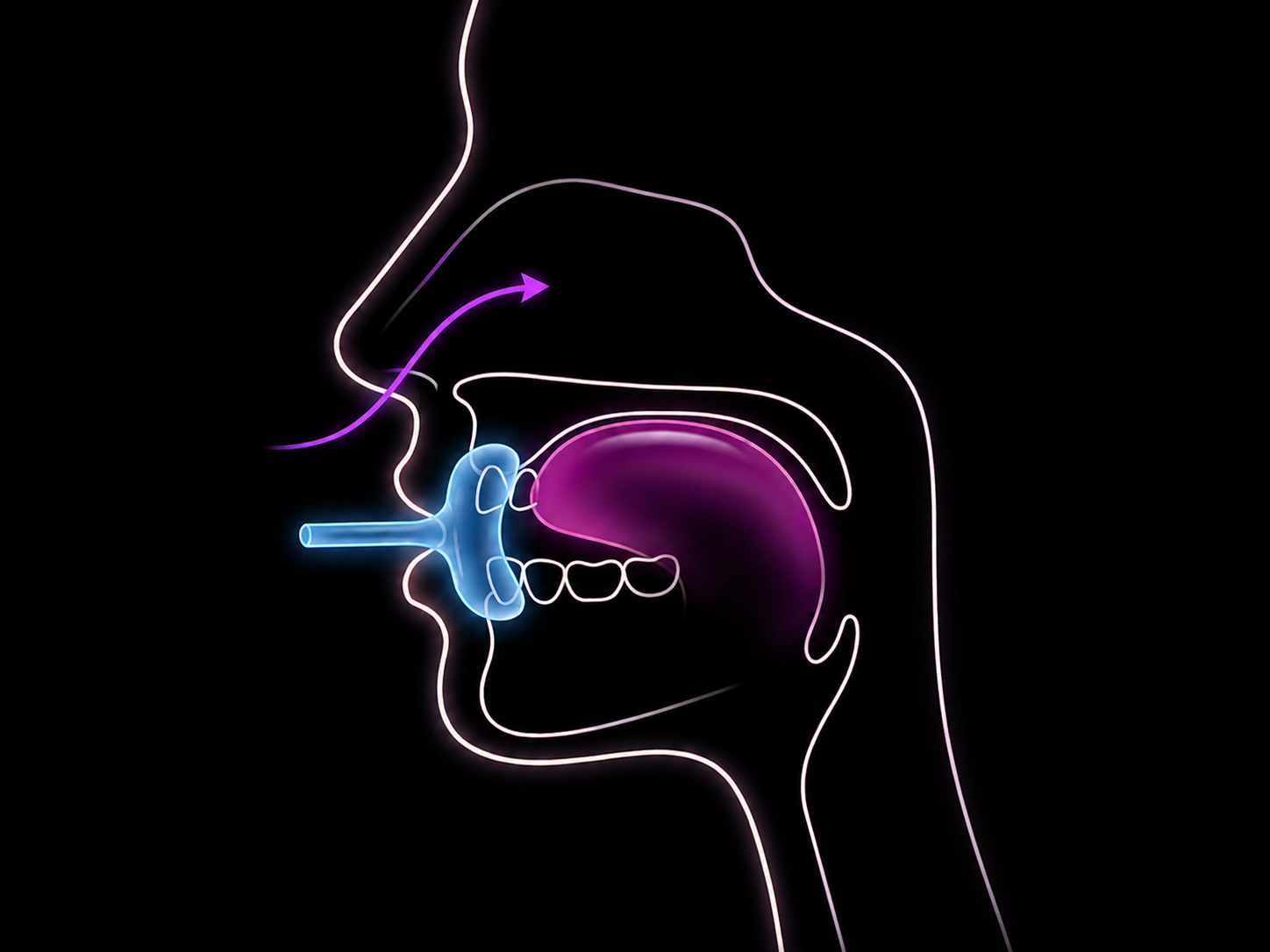 Diagram of a person's mouth and throat with Noseflow gently guiding the tongue to the roof of the mouth